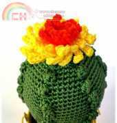 Cactus Amigurumi