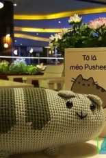 I am cat Pushen - so cute and lazy
