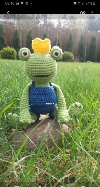 My frog