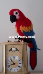 Red parrot