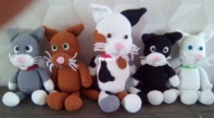 cats family