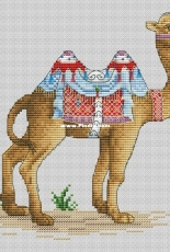 Camel by Alisa Okneas