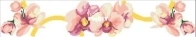 Orange Orchids/Orchidee Arancio by Mani di Fata