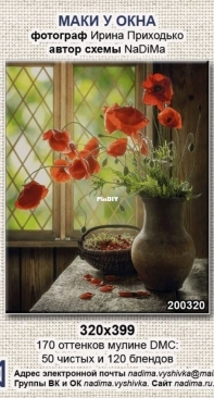 NaDiMa - 200320 - Poppies At The Window