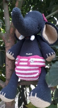 Lola the Elephant arrived