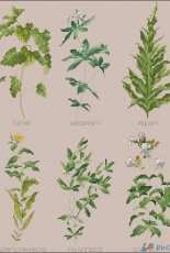 Herb Garden by Marie Barber from Just Cross Stitch 2002