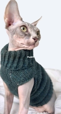Luna Cat Sweater by Katrina Lashmar