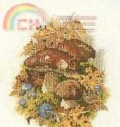 Permin___Boletus_edulis