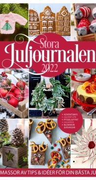 Stora Juljournalen -  2022 - Swedish