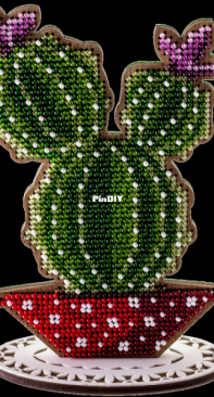 Magical Land - FLK-191 - Cactus by Ksenia Antonova
