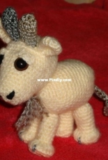 my little goat
