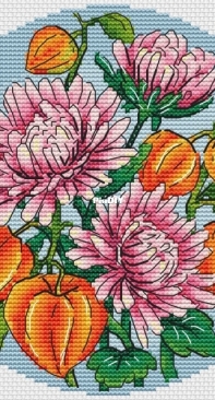 The Cartel of Designers - Asters and Physalis