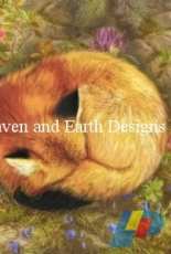 HAED The Cozy Fox by Aimee Stewart