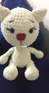 White Cat