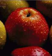 Golden Kite GK 506 - Apples