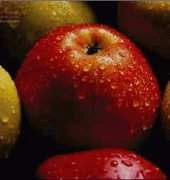 Golden Kite GK 506 - Apples