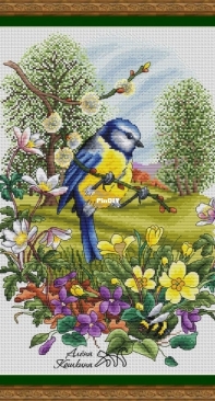 Spring blue tit by Alena Koshkina