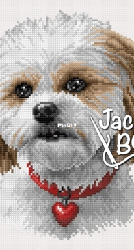 Shih Tzu Dog by Jackie Beau