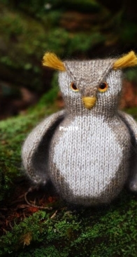 Tufted, owl by Hunter Hammersen - Tiny Nonsense