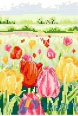Anchor AD244 Tulip Garden