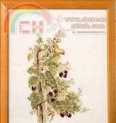OOE 76640 76641 Blackberries