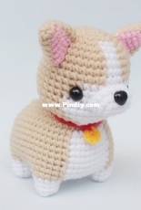 zaalimdolly- pembroke welsh corgi