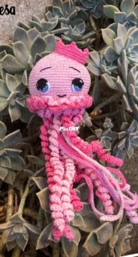 Jellyfish