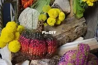 Lil Chunky Pumpkin by Little Miss Drop Stitch-Free