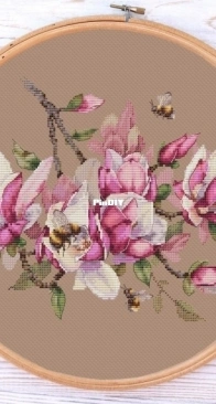 Ameli Stitch - magnolia by Anna Smith XSD