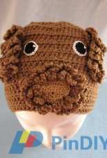 Donnas Crochet Designs - Donna Collinsworth - Labradoodle Dog Hat