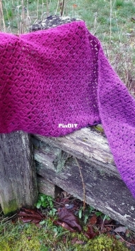 Entrelac Cat Designs - Bonnie Groening - Asymmetrical Gradient Shawl - Free
