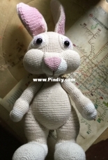 cute bunny