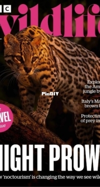 BBC Wildlife Magazine - Vol.43 Issue 12, November 2025