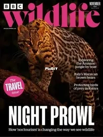 BBC Wildlife Magazine - Vol.43 Issue 12, November 2025