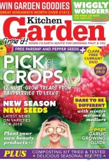 Kitchen Garden November 2017