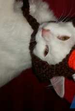 Turkey hat