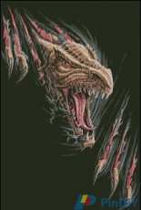 HAED HAEANSMINI 1235 Mini Dragon Rip by Anne Stokes