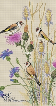 Goldfinches by Anastasia Berg