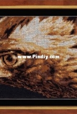 Zolotoe Runo Z-009 - Look of Eagle
