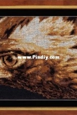 Zolotoe Runo Z-009 - Look of Eagle