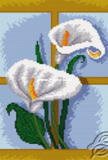 Flowers Callas by Look4me - Free