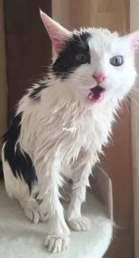 Там было так много воды......