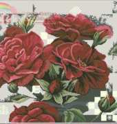 Lanarte 35049
