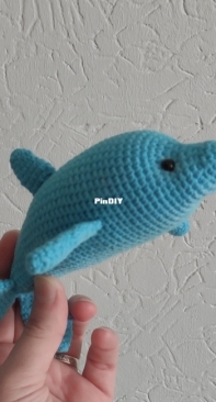 Dolphin
