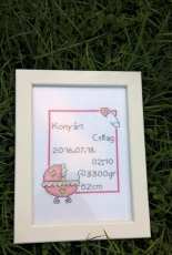 Baby samplers