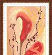 Megat 4067 - Arum Lily