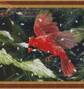 KK 98207 Finding Refuge Red Cardinal
