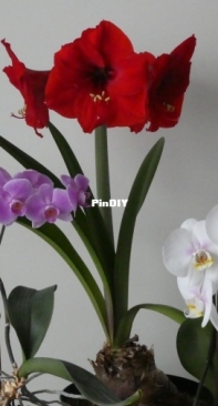 Happy Plants!