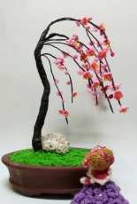 Prunus mum