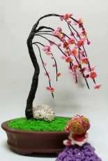 Prunus mum